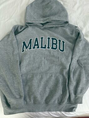 Brandy Melville John galt Gray Hoodie